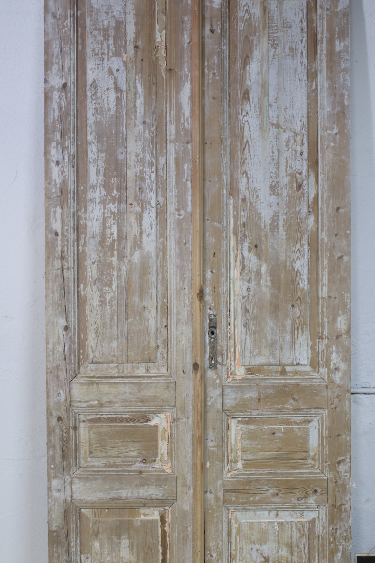 VINTAGE DBL FRENCH DOOR L064