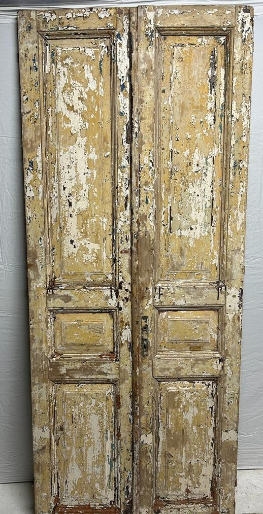 VINTAGE DBL FRENCH  DOOR L193