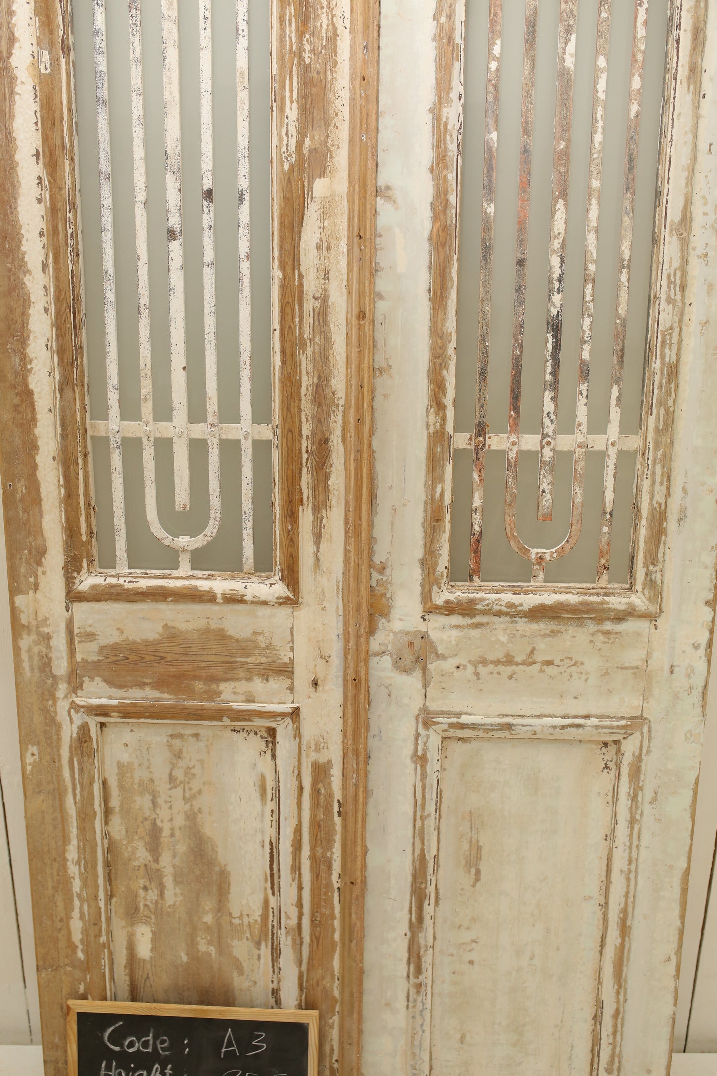 VINTAGE DBL FRENCH METAL DOOR A3